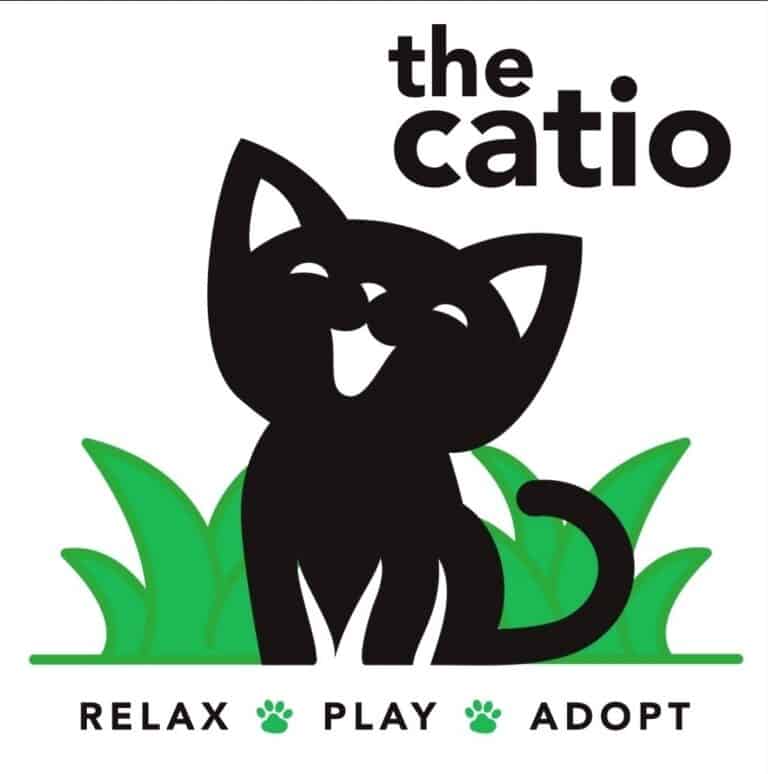 Logo featuring a smiling black cat sitting in grass with the words “the catio” above and “relax play adopt” below, each word separated by a paw print.